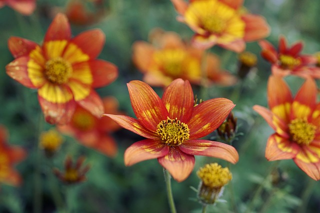 seasonal-640x480-70320105.jpeg