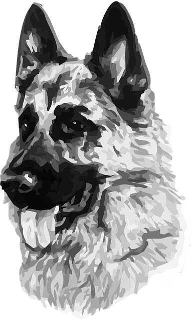 security-640x480-63905484.png