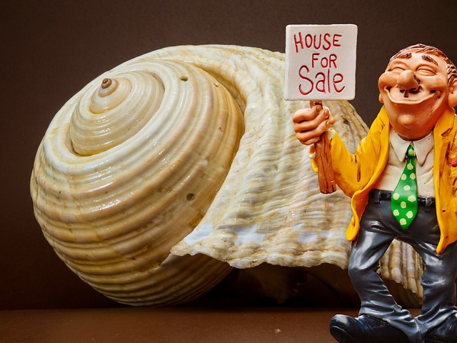 Homebuyers’ Rights When Buying a House with Mold