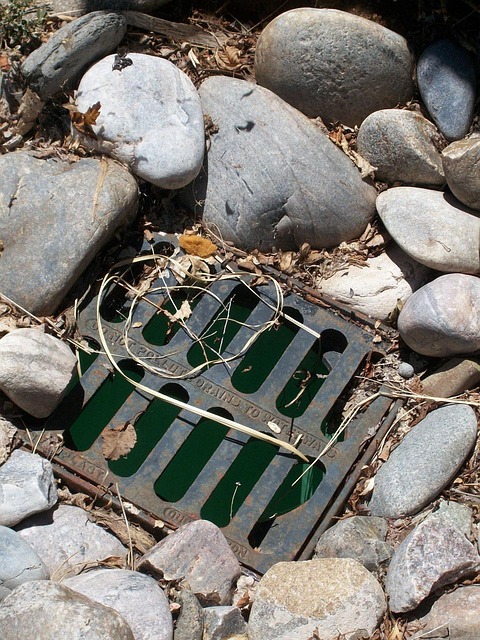 sewer-640x480-13150834.jpeg