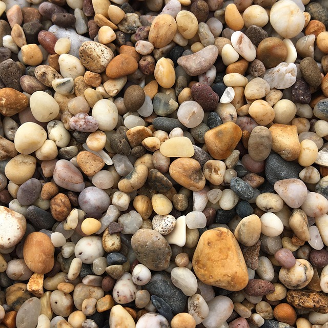 shingle roof