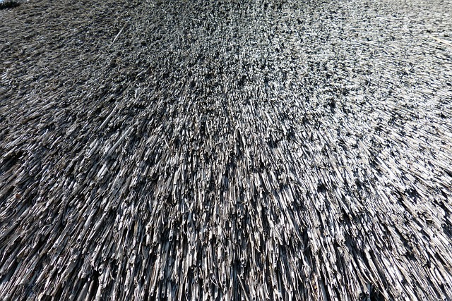 shingle-roof-640x480-57212286.jpeg