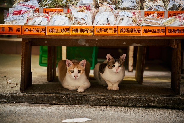 stalls-640x480-99062019.jpeg