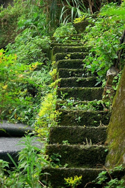 steps