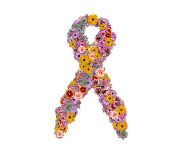 support-640x480-26185820.png