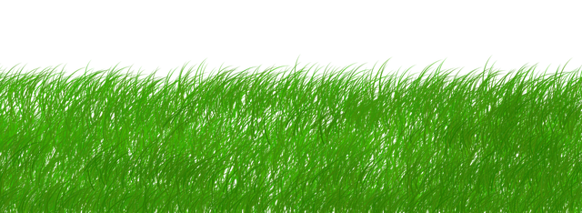 sustainable-640x480-66931417.png