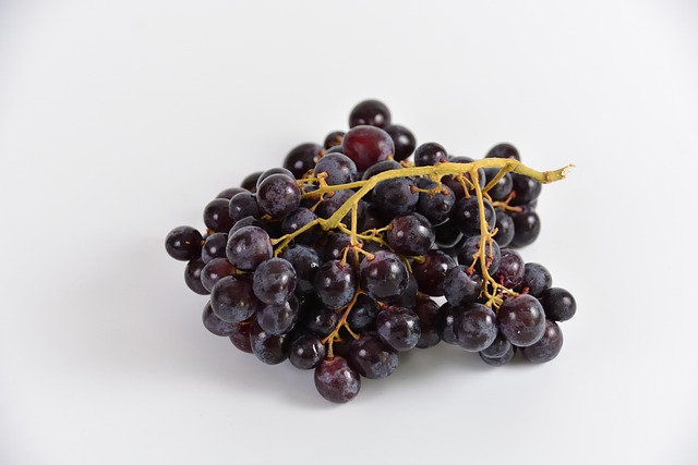 Discover Lane County’s Wine & Craft Beverages: Tasting Room Adventures