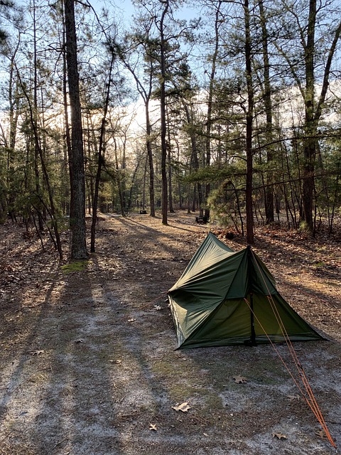 tents