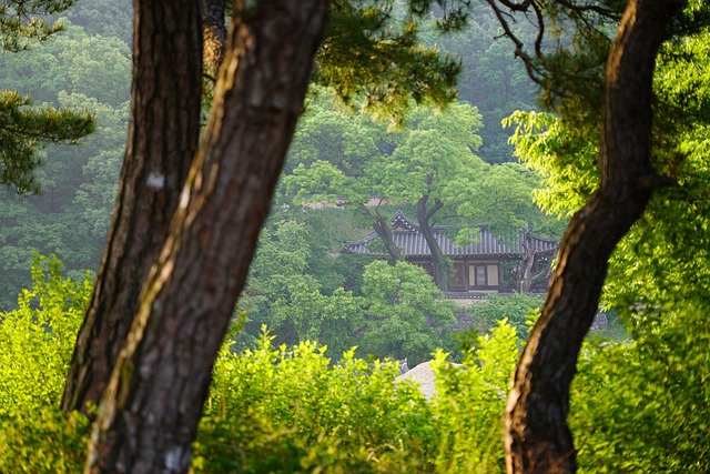 tile-roof-640x480-39382015.jpeg
