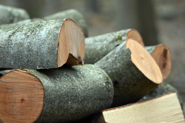 timber