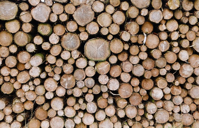timber