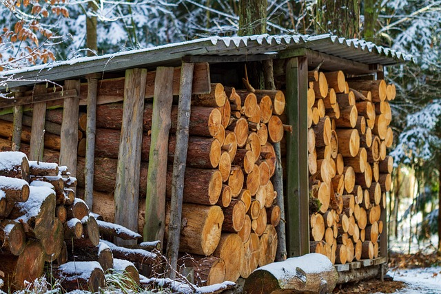 Oregon Sawmills: Lane County’s Legacy and Economic Lifeline