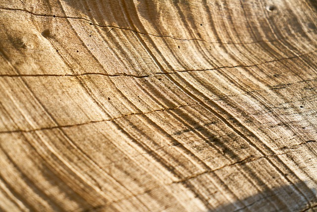 timber
