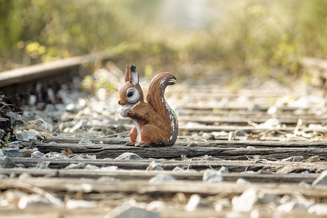 track