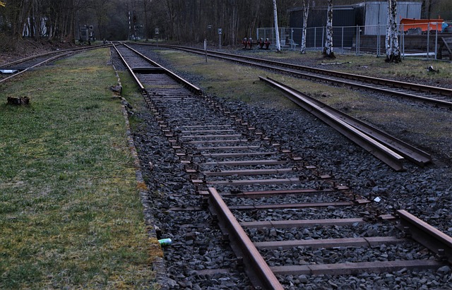 Unveiling Track Town USA’s Enduring Legacy in Historic Track Meets