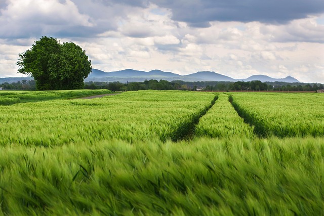 tracks-640x480-43430804.jpeg