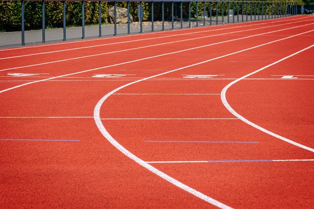 tracks