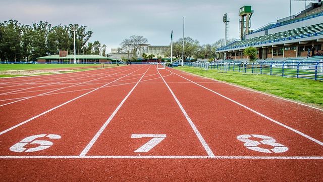 tracks
