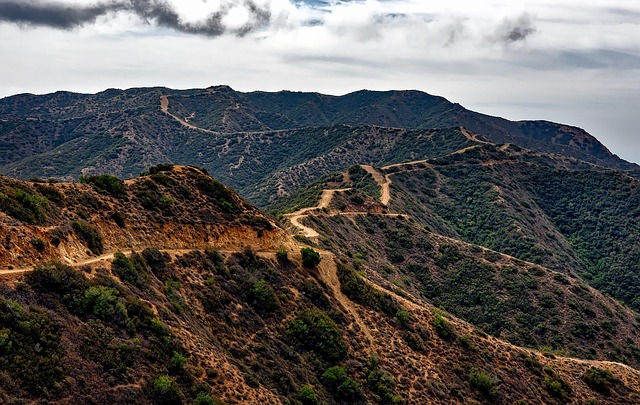 trails