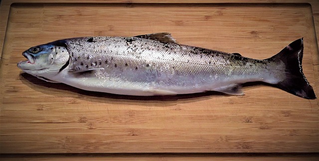 trout