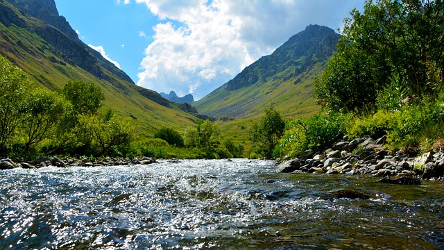 trout-640x480-52291164.jpeg