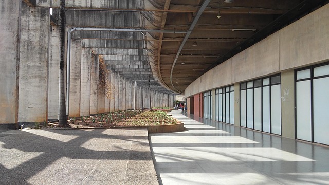 university