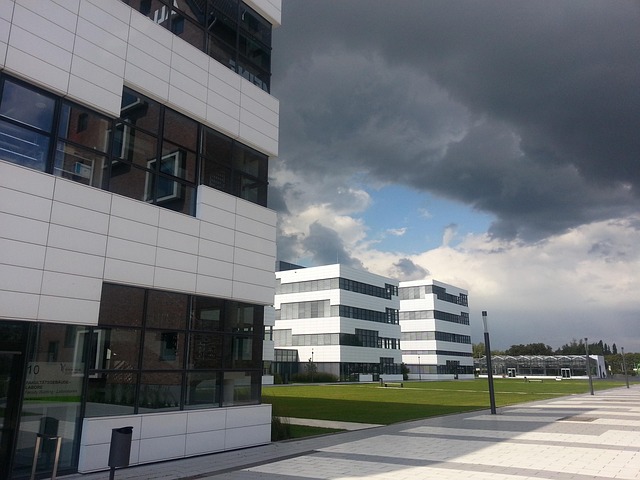 university