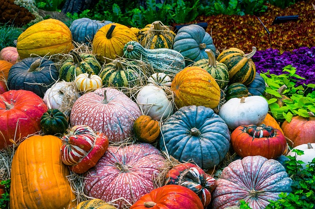 vegetables-640x480-23354428.jpeg