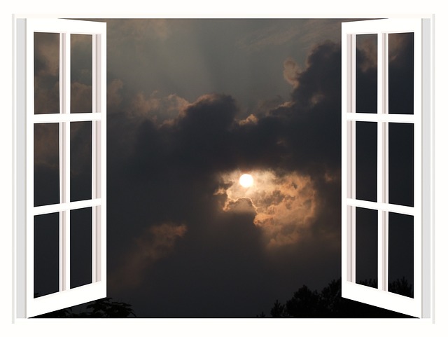 Stop Home Mold Growth: Identify, Ventilate, and Clean