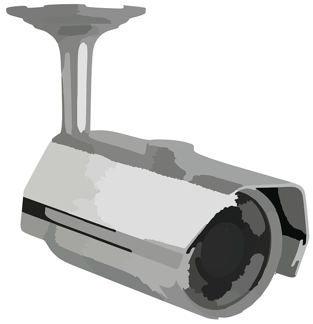 Video Doorbell For Elderly Safety