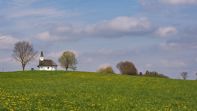 Video Doorbell For Rural Homes