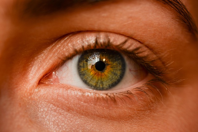 Experience Ultimate Protection: AI Doorbell’s Night Vision Surveillance Saves You Money Today!
