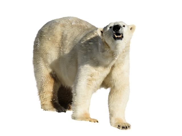 white-teeth-640x480-48228310.png