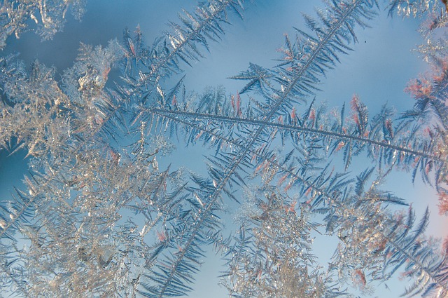 winter