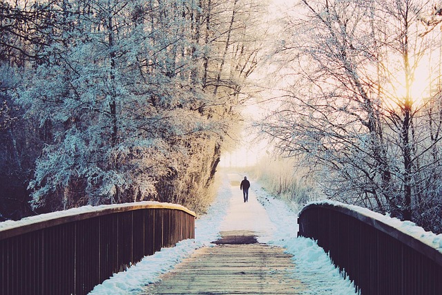 winter-640x480-22991932.jpeg