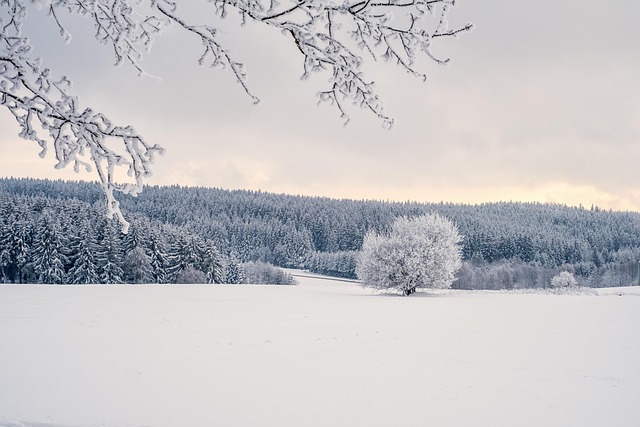 winter