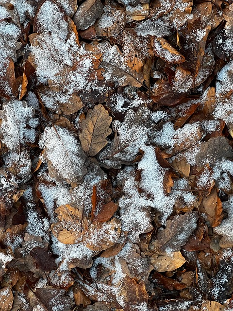 winter