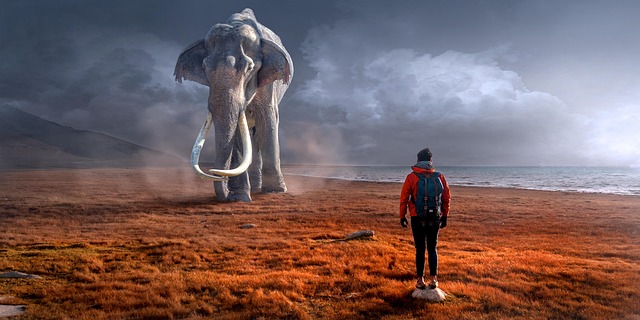 adventure