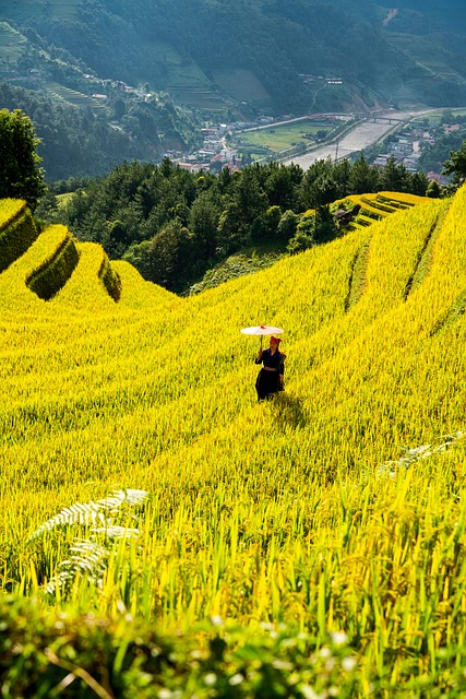agriculture