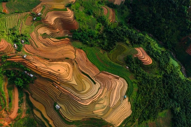 agriculture