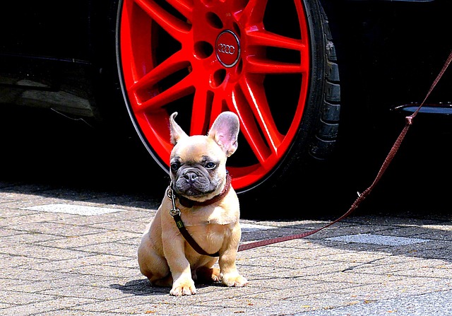 Alloy Wheel Repair Eugene Oregon