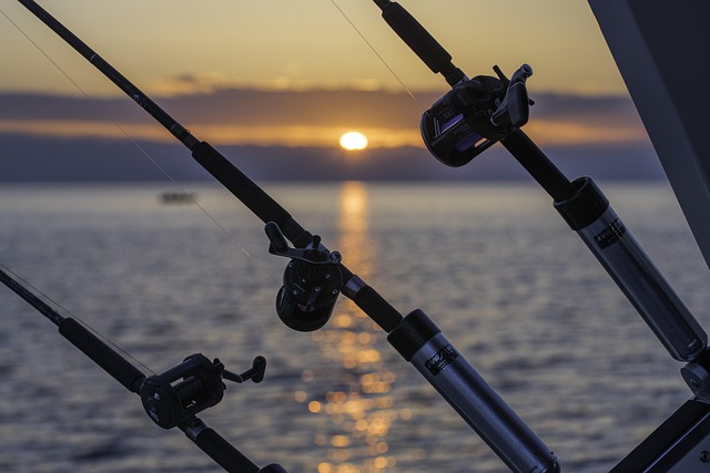 Angler
