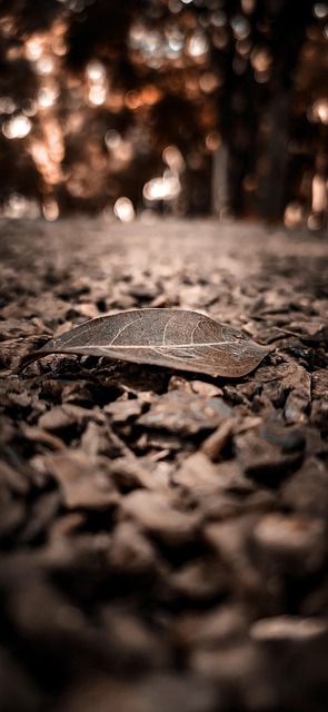 Asphalt Shingle