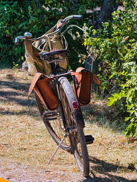 bike