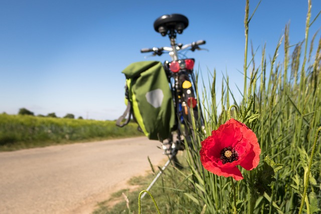 Biking