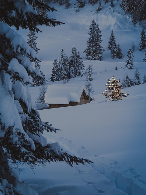 cabins