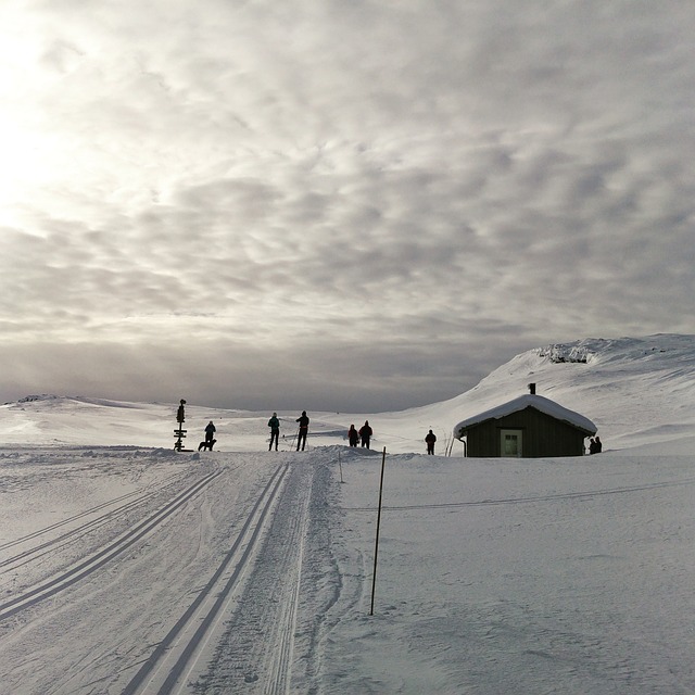 cross-country