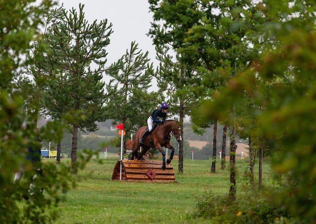 cross-country-640x480-78829962.jpeg