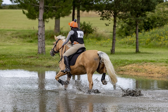 cross-country