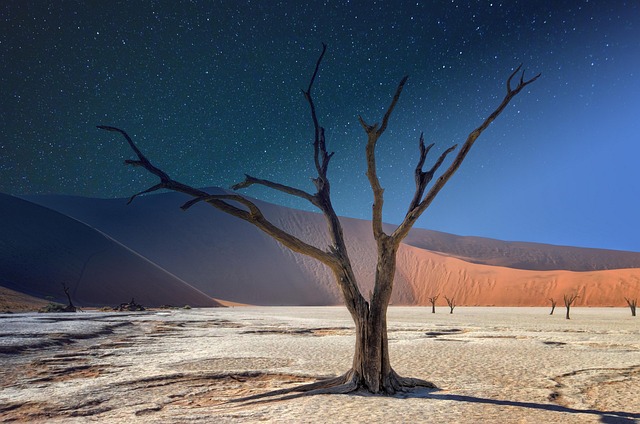 dunes